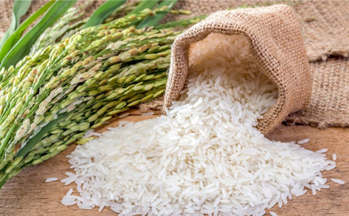 Gạo sạch xuất khẩu