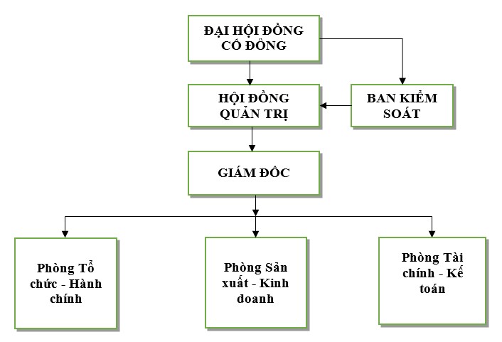 Cơ cấu tổ chức